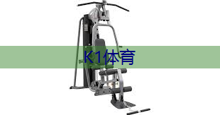 健身房室内用的什么手机